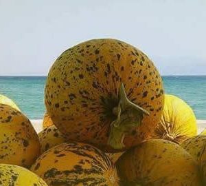 Cesme Melon