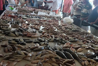 fish market