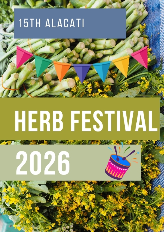 Alacati herb festival 2026
