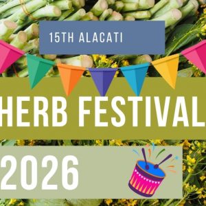 Alacati Herb Festival 2026 – Complete Visitor Guide