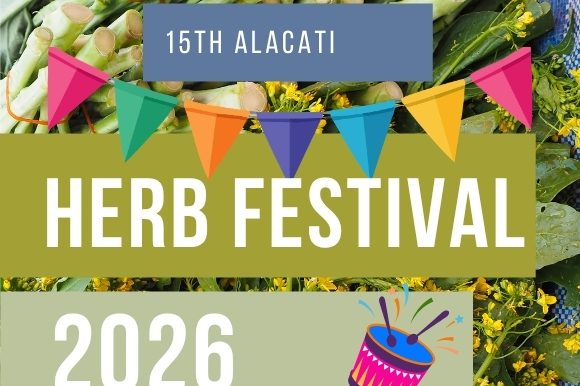 Alacati Herb Festival 2026 – Complete Visitor Guide